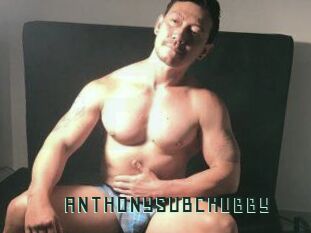ANTHONYSUBCHUBBY