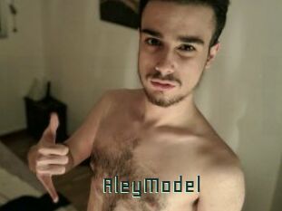 AleyModel