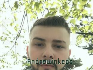 Andrewinked2
