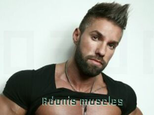Adonis_muscles