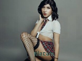 Alacam