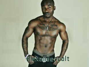 Alexandercolt