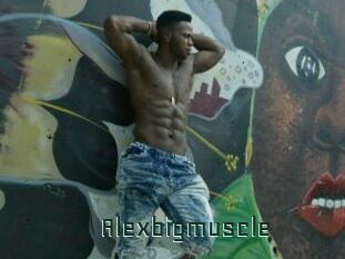 Alexbigmuscle