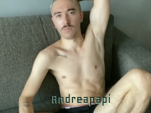 Andreapapi