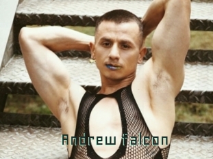 Andrew_falcon