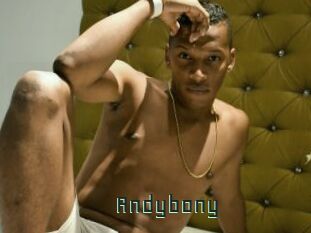 Andybony