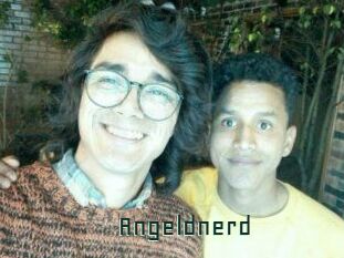 Angeldnerd