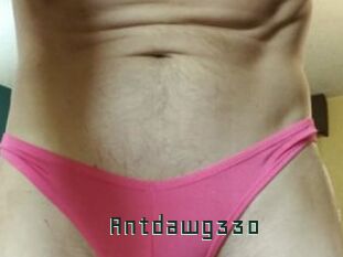 Antdawg330