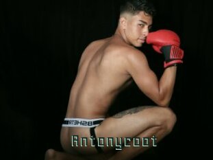 Antonycoot