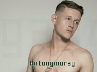 antonymuray Gay Porn