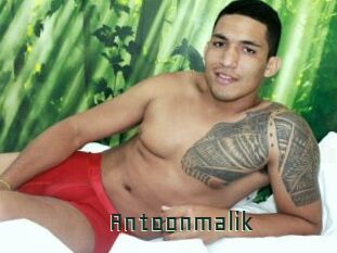 Antoonmalik