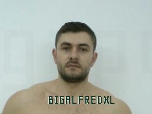 BIGALFREDXL