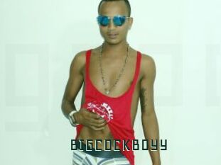 BIGCOCKBOYY