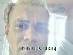 BIGDICKFORU4 Gay Porn