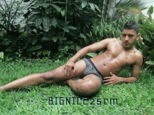 BIGNICE25cm