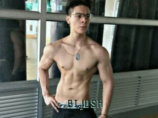 BI_JOSH