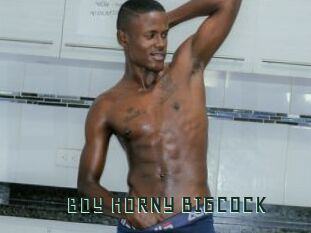 BOY_HORNY_BIGCOCK