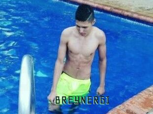 BREYNERGI