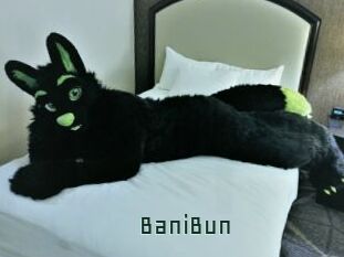 BaniBun