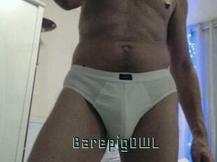 BarepigOWL