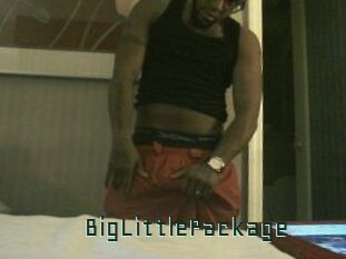 BigLittlePackage