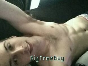 BigTreeBoy