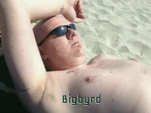 Bigbyrd