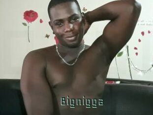 Bignigga