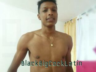 BlackBigCockLatin
