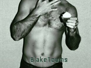 BlakeTowns