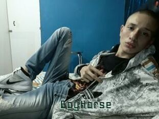 BoyHorse