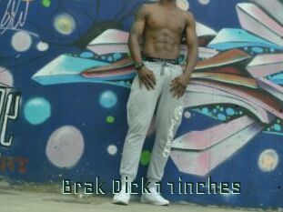 Brak_Dick11inches