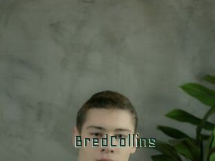 BredCollins