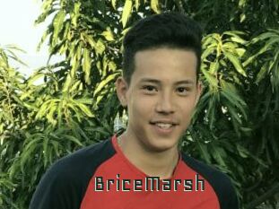 BriceMarsh