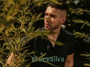 BruceSilva