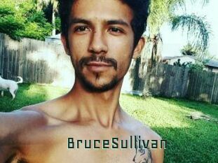 Bruce_Sullivan