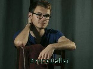 BruceWallet