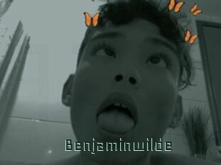 Benjaminwilde