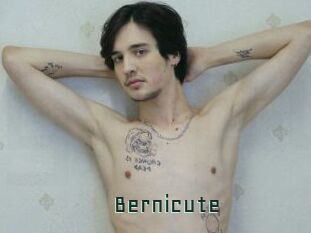 Bernicute