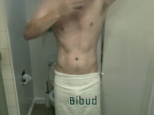 Bibud