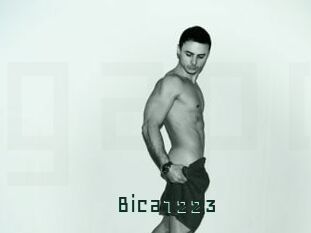 Bica1223