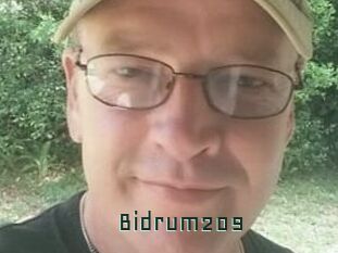 Bidrum209