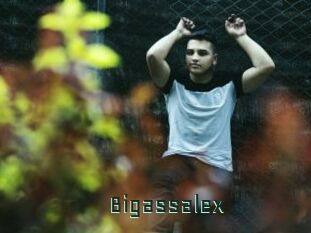 Bigassalex