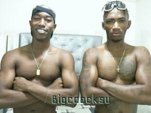 Bigcoocksu