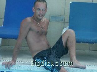 Bigdick22cm