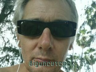 Biguncutcock