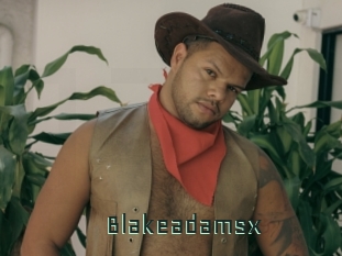 blakeadamsx Gay Porn