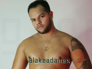 blakeadamsx Gay Porn
