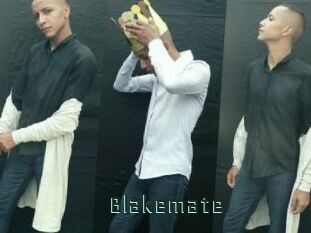 blakemate Gay Porn