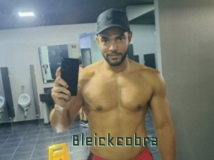 Bleickcobra